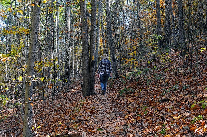 A hiker on the Barbour Rock Trail in Pennsyvlania.