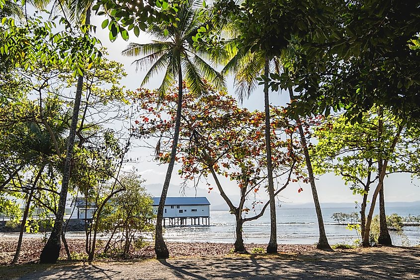Sugar Wharf, Port Douglas, Queensland, Australia