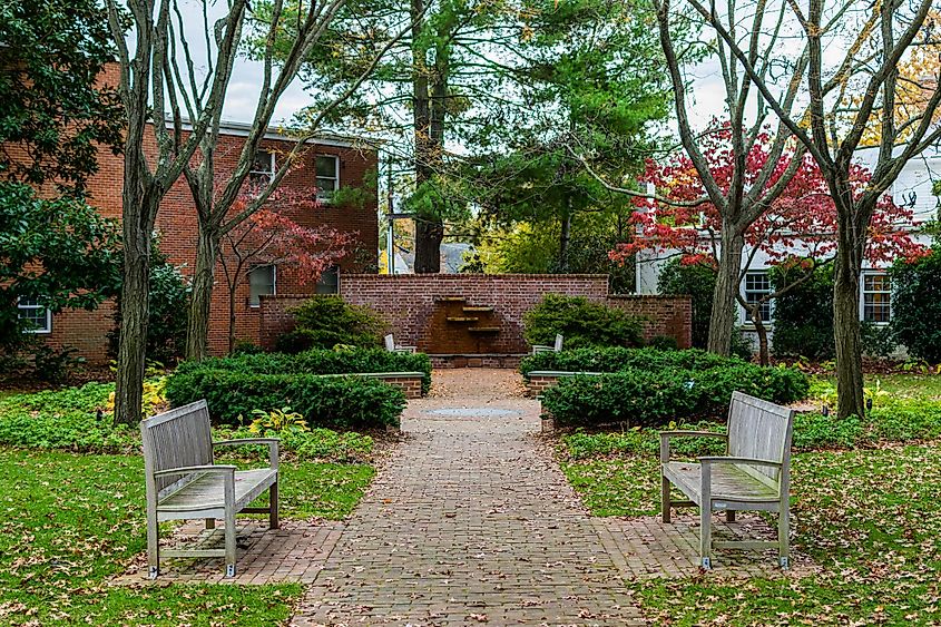 Downtown Easton, Maryland, during the peak of autumn colors.