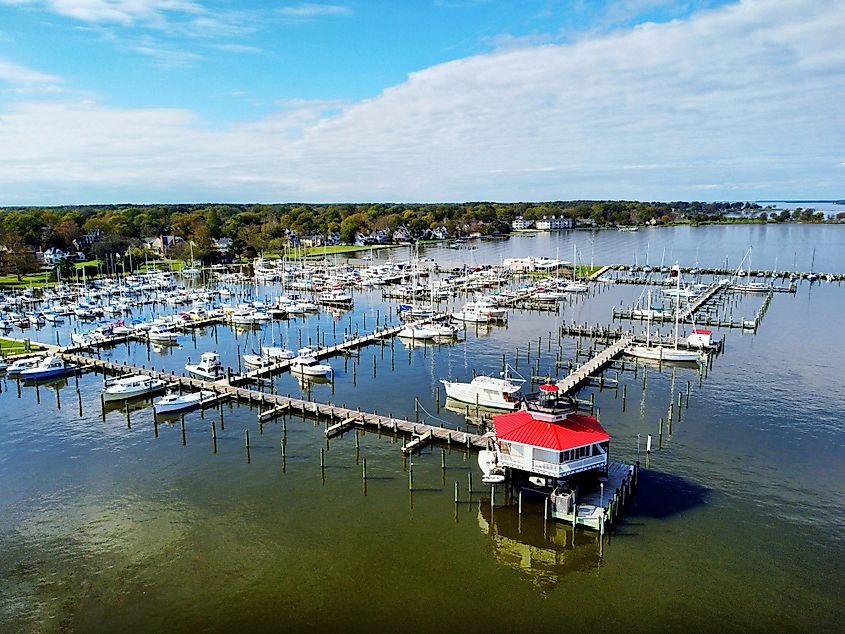 Cambridge Maryland Lighthouse and Marina with Fall Foliage.