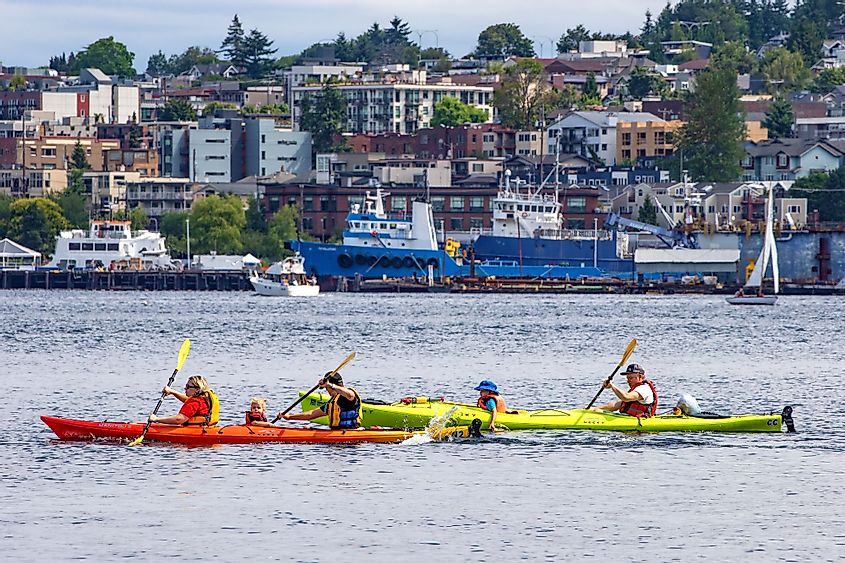 Families are enjoying kayaking on a summer weekend in Lake Union, Seattle