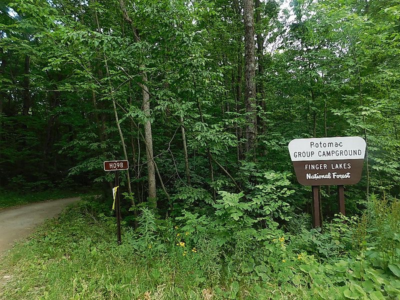 Finger Lakes National Forest