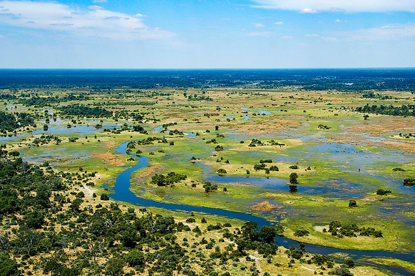 Okavango delta in Botswana