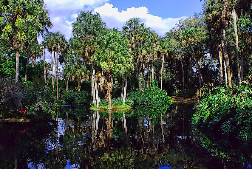 Reflecting pool at Bok Tower Gardens, Lake Wales
