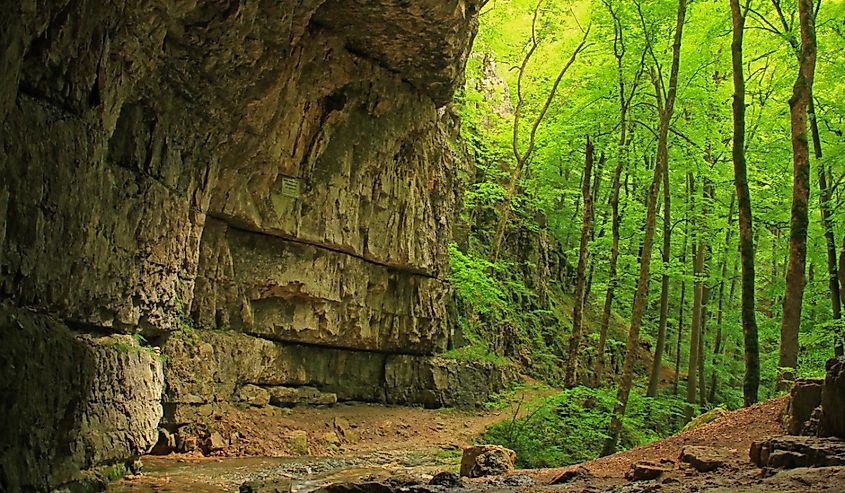 Cave on the Swabian Alb (called "Falkensteiner Hoehle"), Baden-Wuerttemberg, Germany