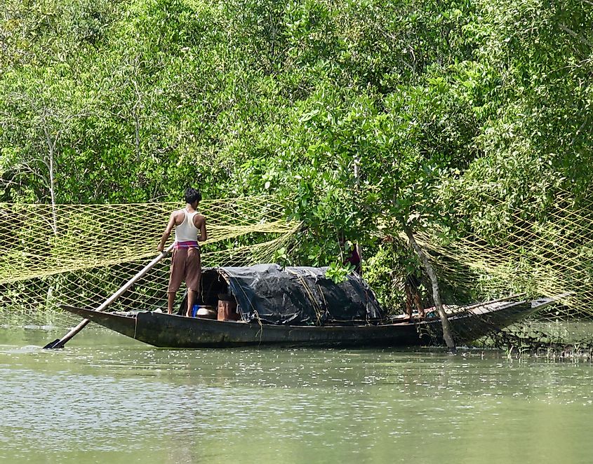 Sundarbans fishermen