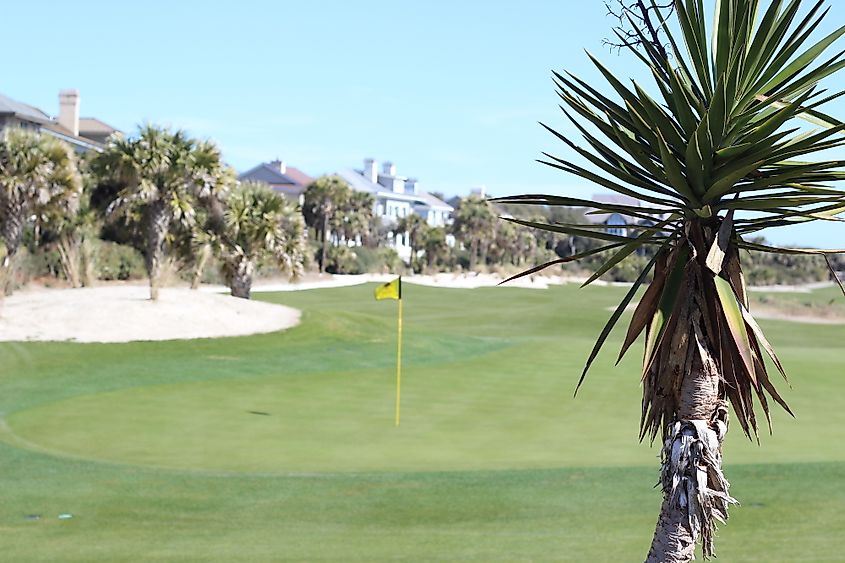 Golf Course in South Carolina