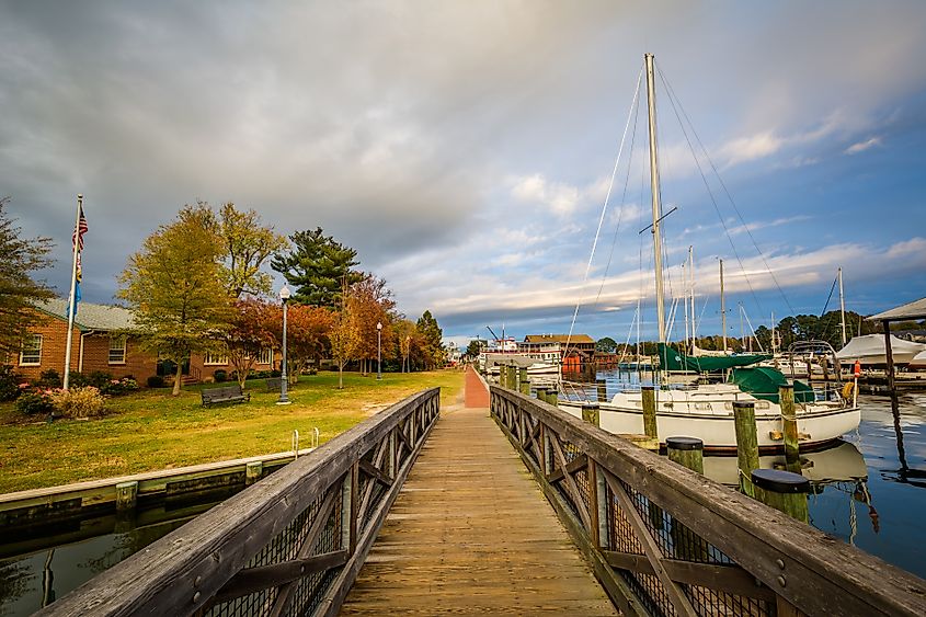 A trail along Chesapeake Bay in Saint Michaels, Maryland.