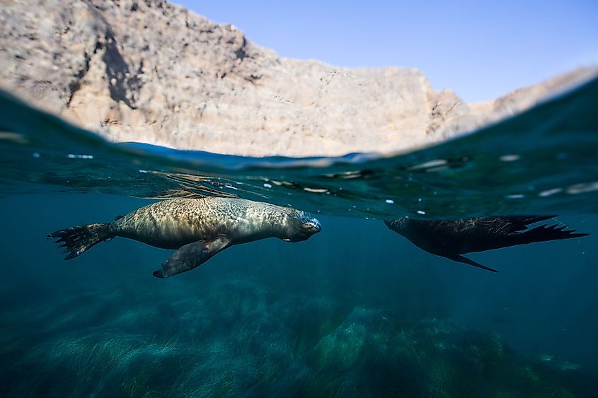 Channel Islands National Park.