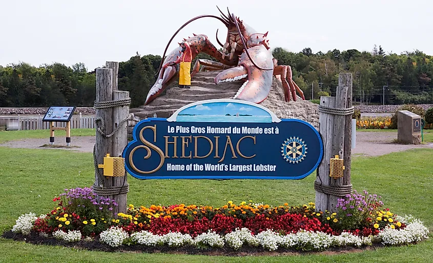 A large lobster sculpture on a stone base with a blue sign reading "Shediac, Home of the World's Largest Lobster." Surrounded by colorful flowers.