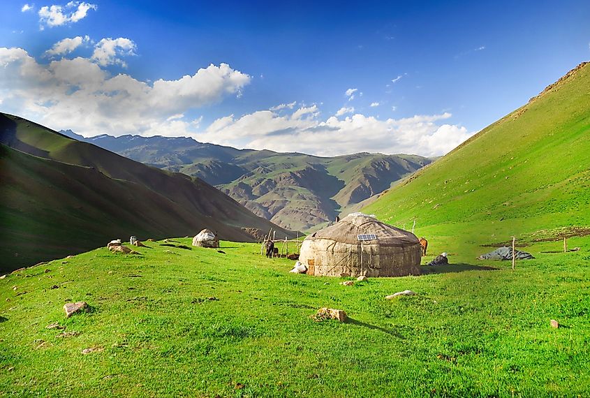 A mountain pasture in Kyrgyzstan.
