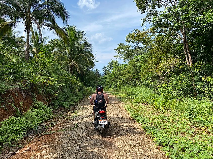 A shirtless man riding a scooter along a dirt road through the jungle outside Puerto Princesa.