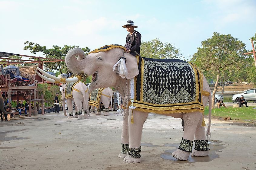 https://www.worldatlas.com/r/w768/upload/54/bb/65/white-elephant-ayutthaya-thailand-skynavin.jpg
