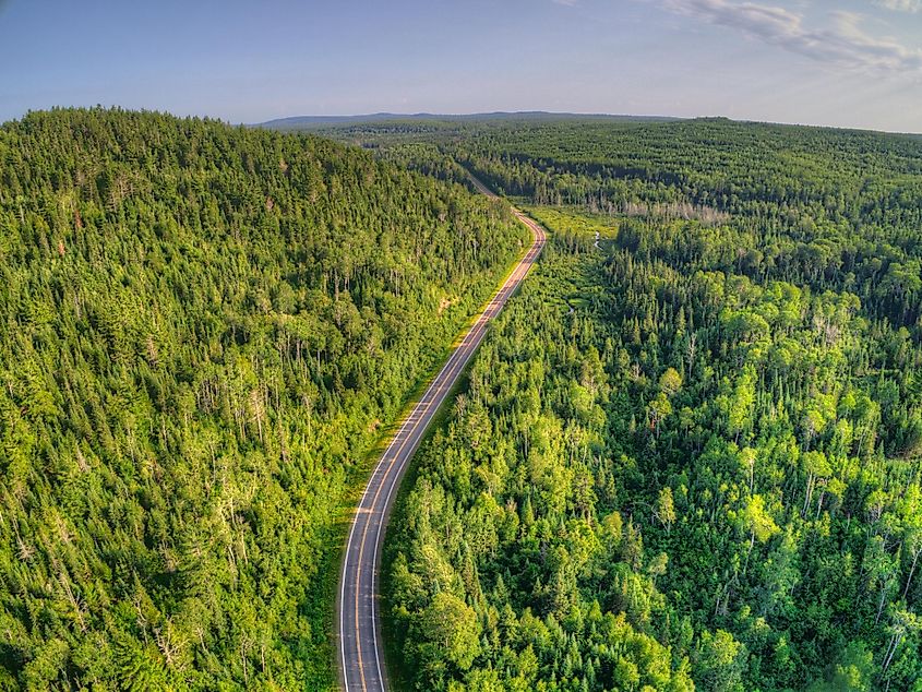 superior national forest