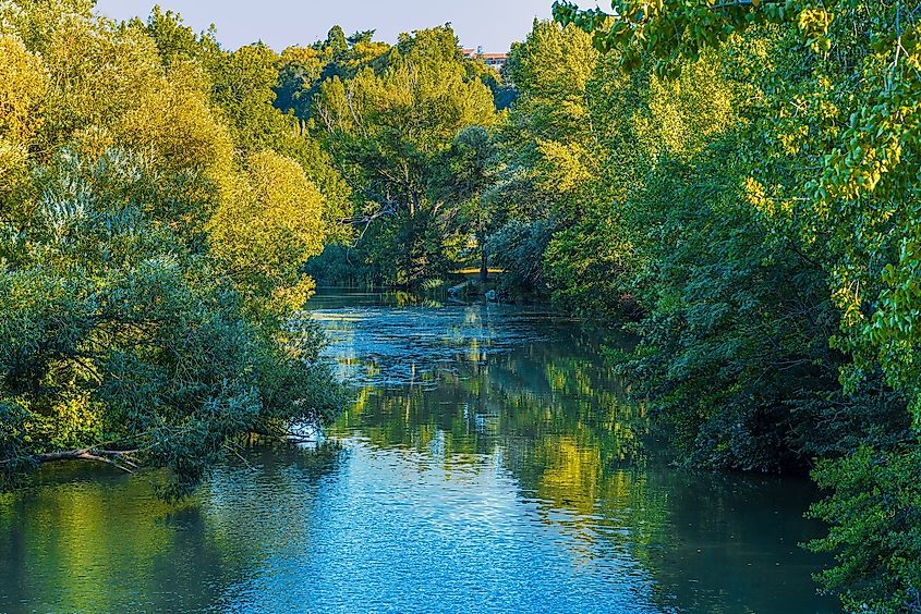 A river surrounded by greenery in Pamplona, Spain.