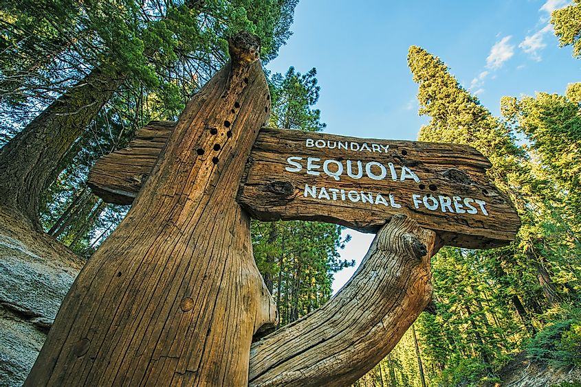 Sequoia National Forest Wooden Sign on the Sequoia National Park Road