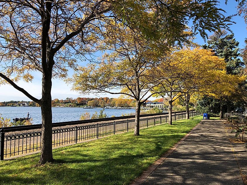 Minnetonka Lake Trees Fall Wayzata Water Grass Green.