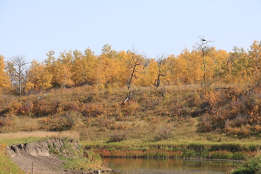 Autumn scenery around Canora, Saskatchewan