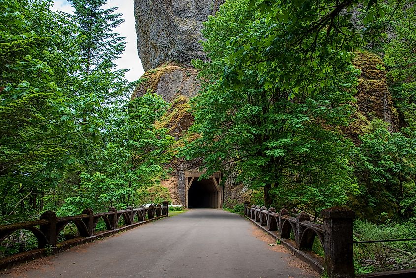 Oneonta Tunnel on the Historic Columbia River Gorge Highway National Scenic Byway in Oregon.