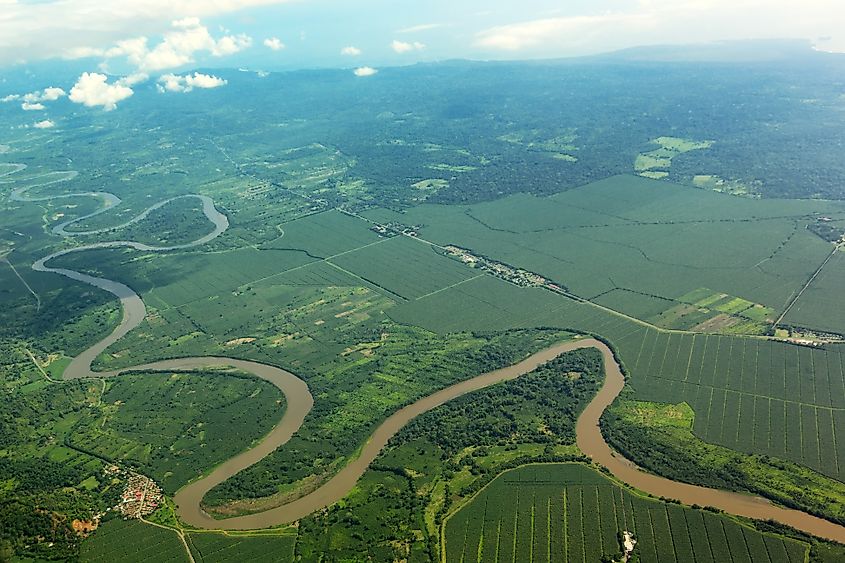 Meandering river viewed from the airplane