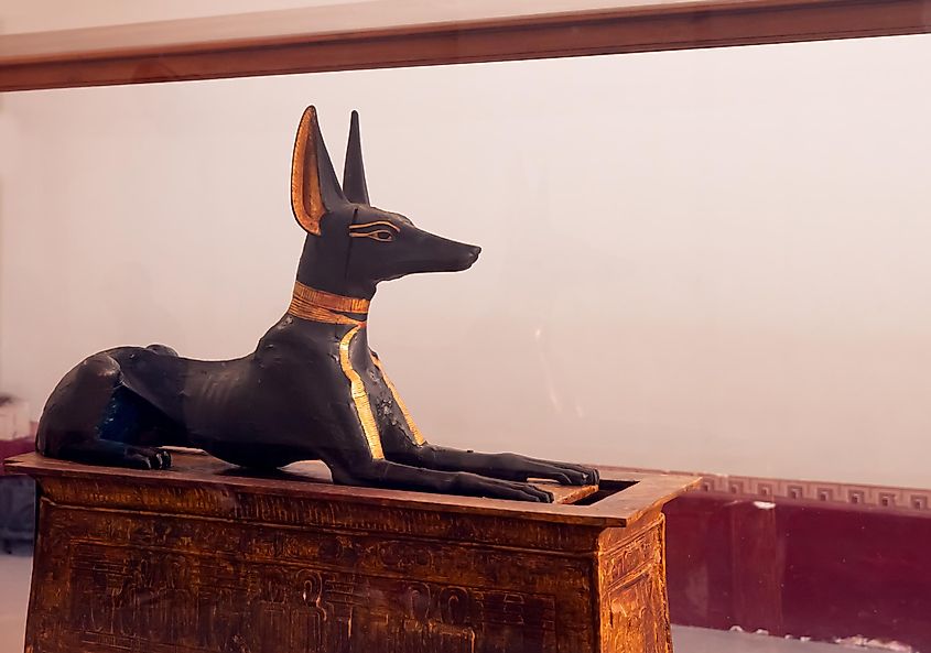 The Egyptian god, Anubis. Image by muratart via Shutterstock