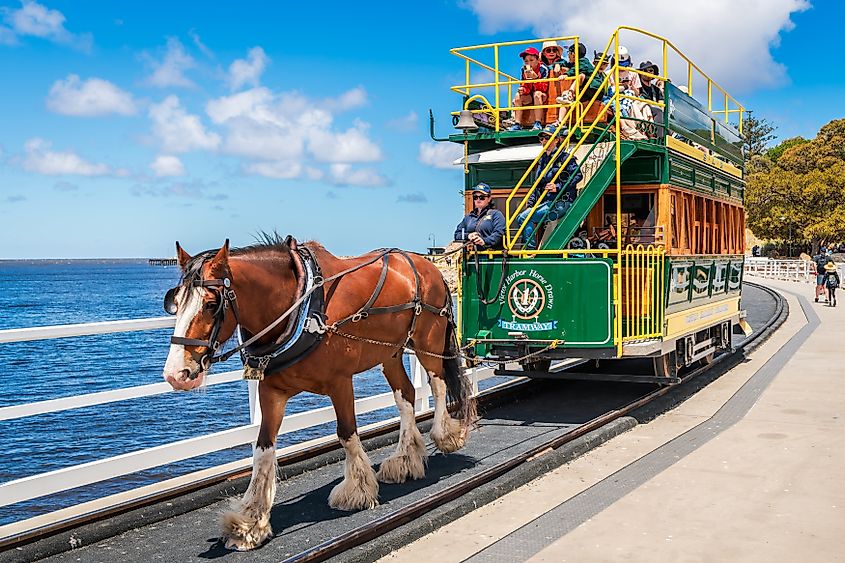 Victor Harbor, South Australia