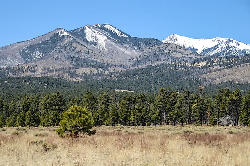 Humphreys Peak, the highest point in Arizona, near Flagstaff