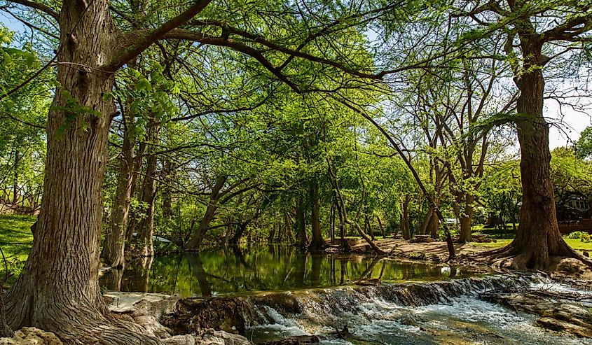 The natural beauty of the Texas Hill Country in the small town of Wimberley.