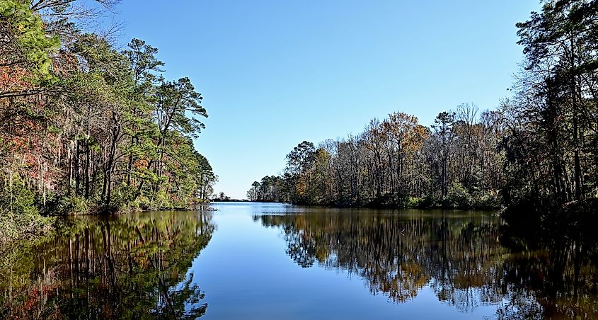 Nature trail at Santee State Park, South Carolina