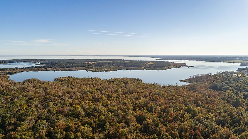 Aerial view above the treetops to Gourd Neck Springs on Lake Apopka in Monteverde, Florida