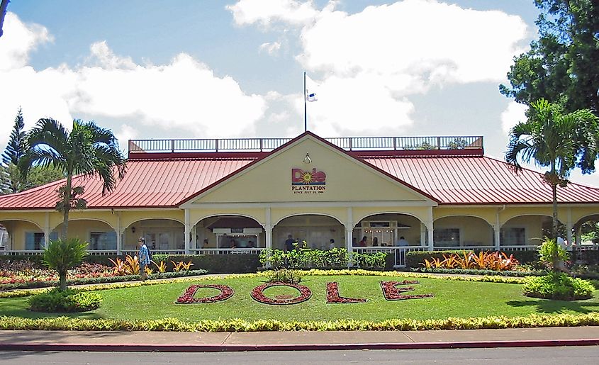 Dole-plantasjen. 