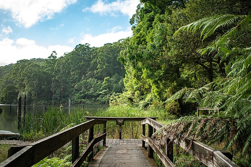 Pier Leading to Lake Elizabeth, Victoria, Australia.