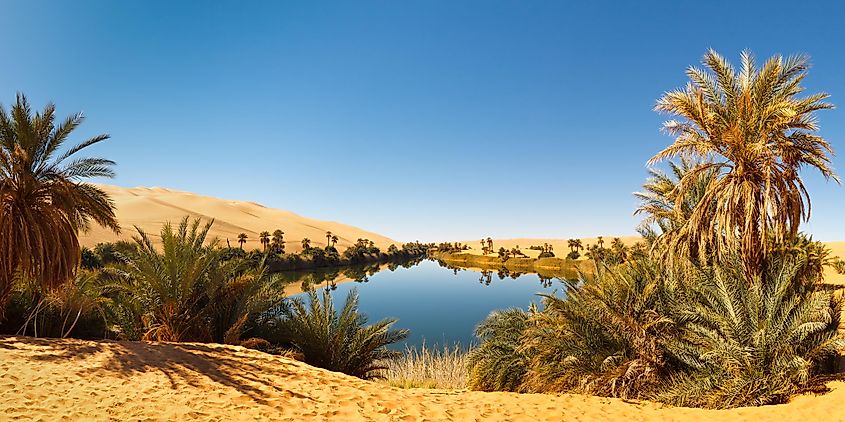 What Is An Oasis? - WorldAtlas