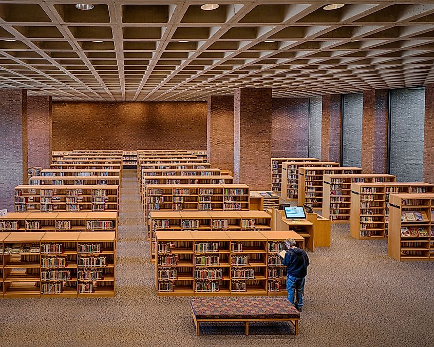 One library patron in the Cleo Rogers Memorial Library. 