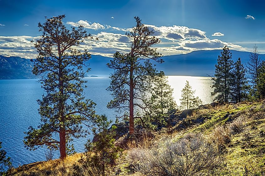 View of Okanagan Lake Peachland British Columbia