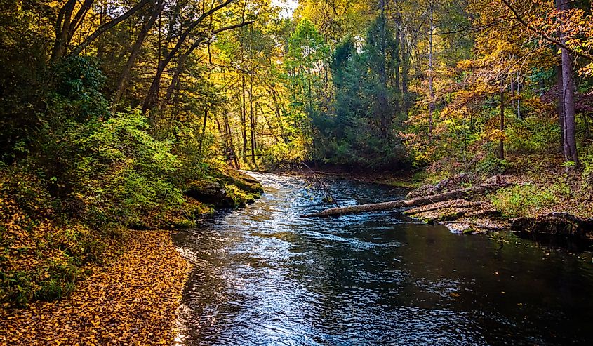 Early autumn color along the Gunpowder River in Gunpowder Falls State Park, Maryland.