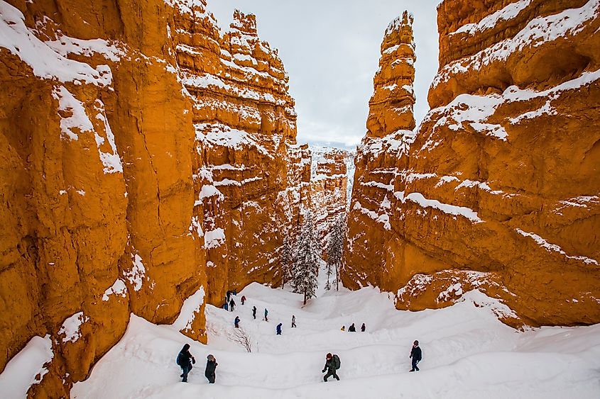 Winter landscape in Bryce Canyon National Park, Utah