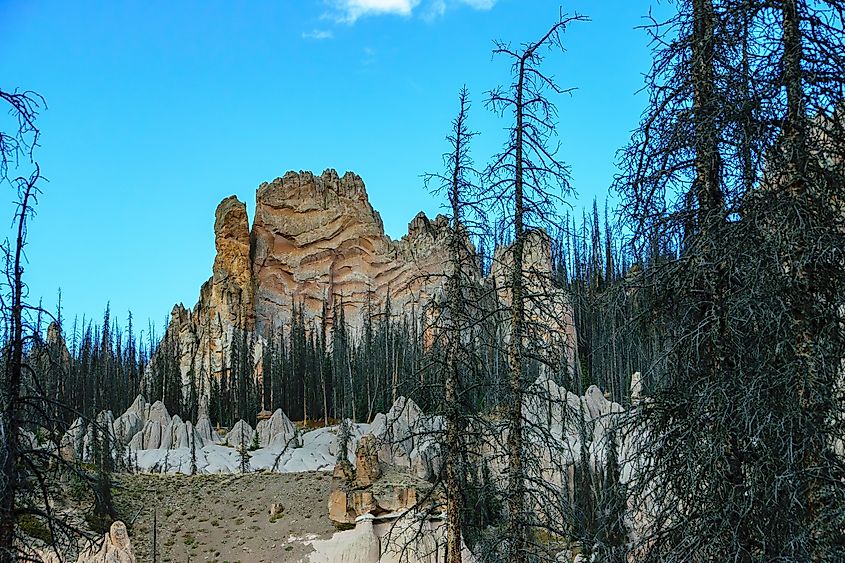 Formations in the Wheeler Geologic Area, Colorado