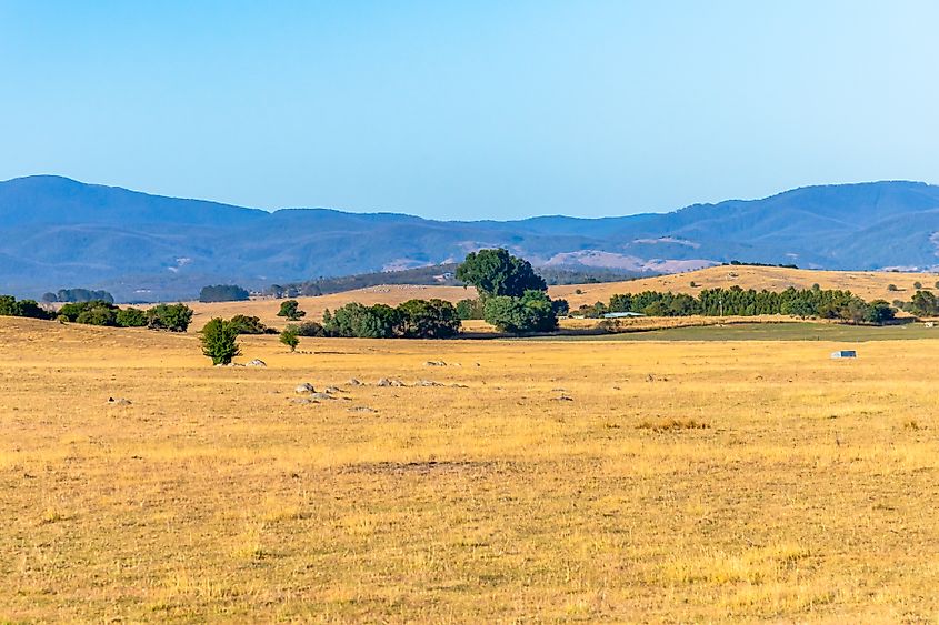 Rural fields and pastures in Summer in the Southern Tablelands, New South Wales 