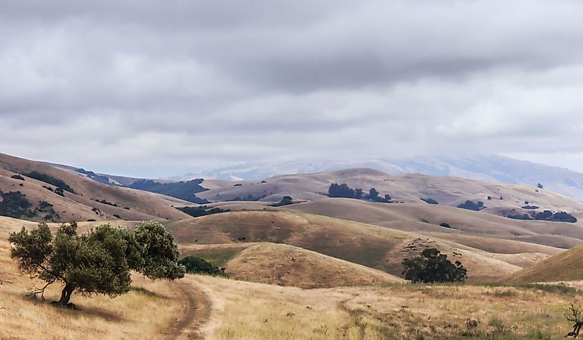 California Drought. Garin Regional Park, California