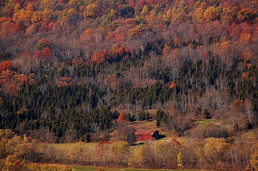 Stunning Fall foliage view from on top of the hill at the Edge of Appalachia Preserve