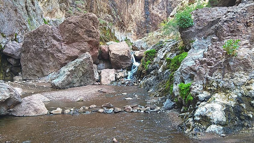 Gold strike hot springs