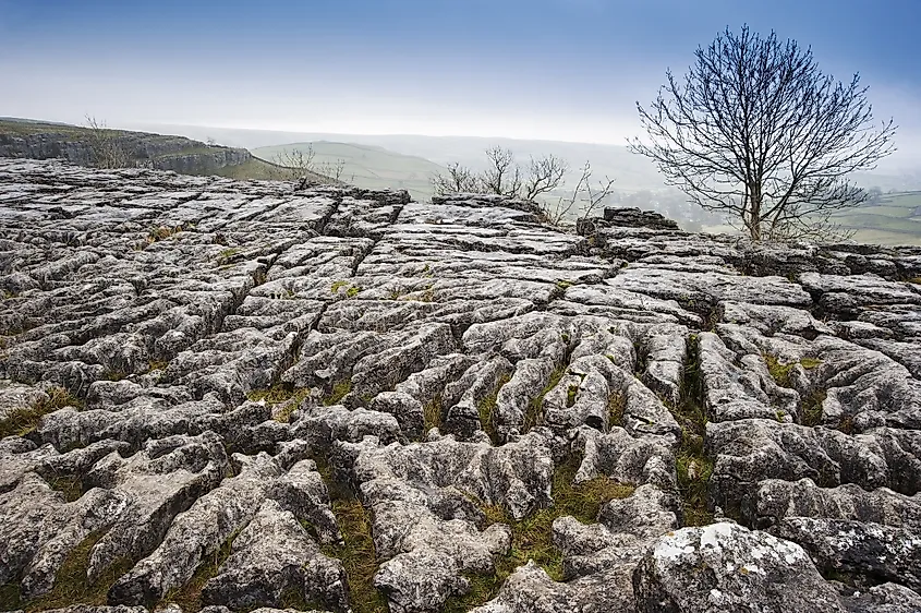 Limestone pavement