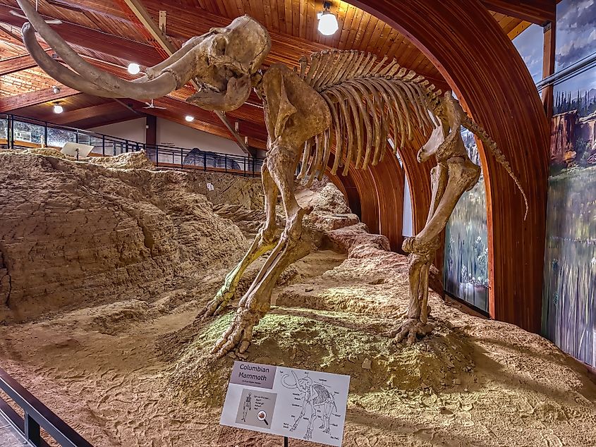 Mammoth Fossil Dig Site in Hot Springs, South Dakota.