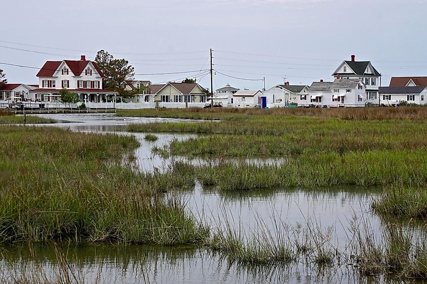 Houses on the marshes of Tangier Island, Virginia, in the Chesapeake Bay.