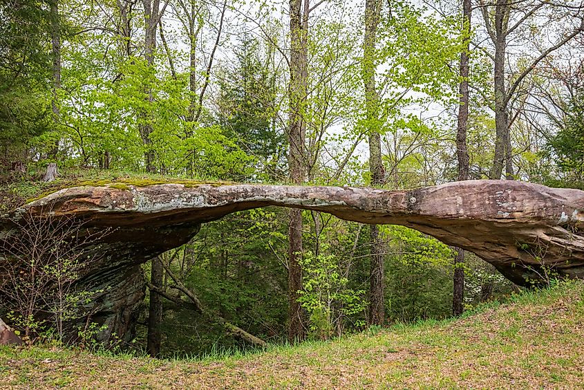 Natural Rock Arch at Big South Fork National River and Recreation Area