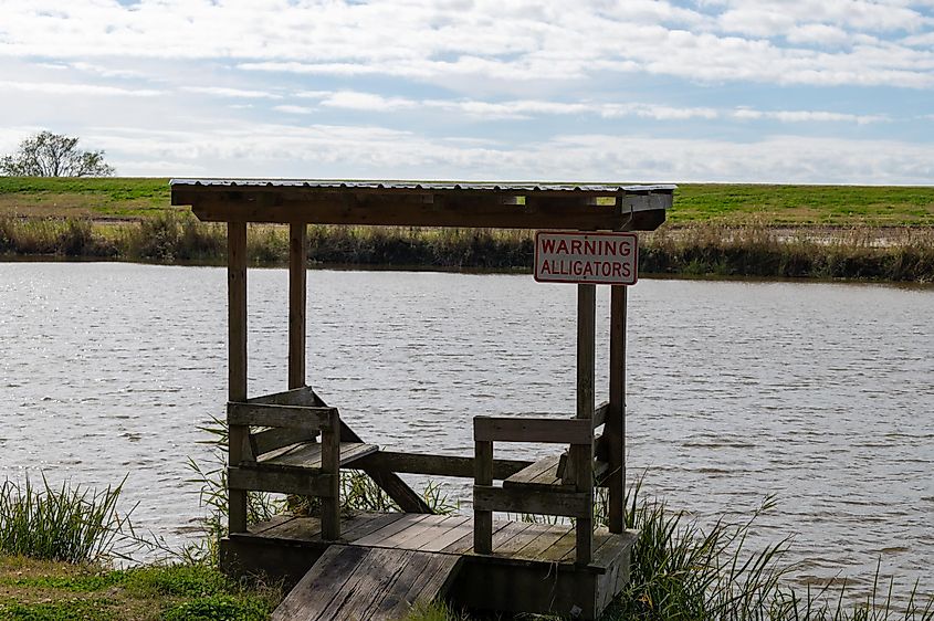 The Bayou near Golden Meadow, with a warning for alligators.