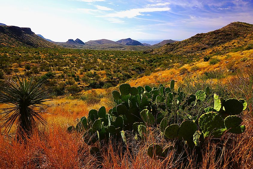 Big Bend National Park, Texas. 