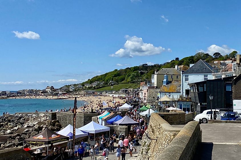 Lyme Regis is a popular seaside resort town Image credit Bryan Dearsley