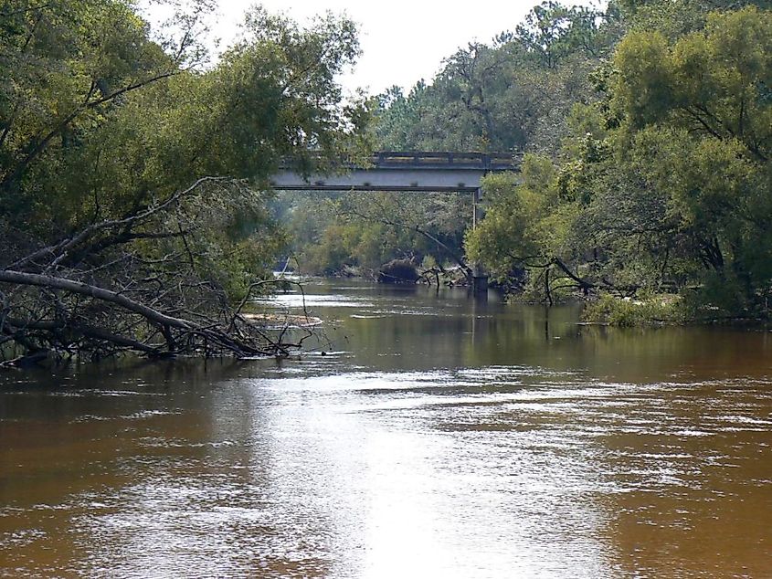 The Ochlockonee River and the Old Brainbridge Road Bridge